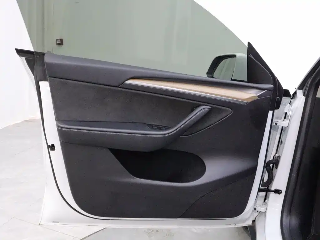Tesla Model Y — миниатюра 10