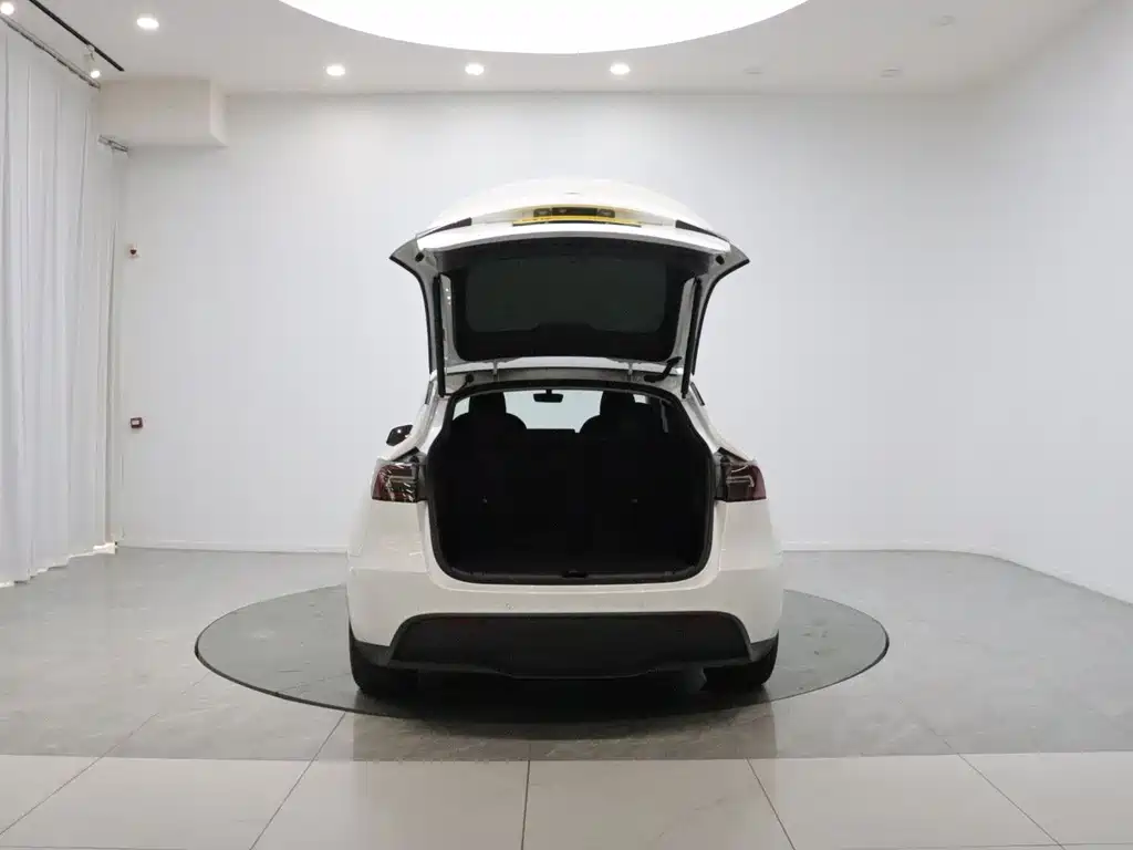 Tesla Model Y — миниатюра 9
