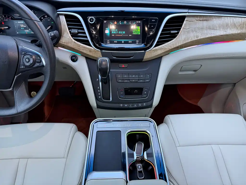 Buick GL8 — миниатюра 12