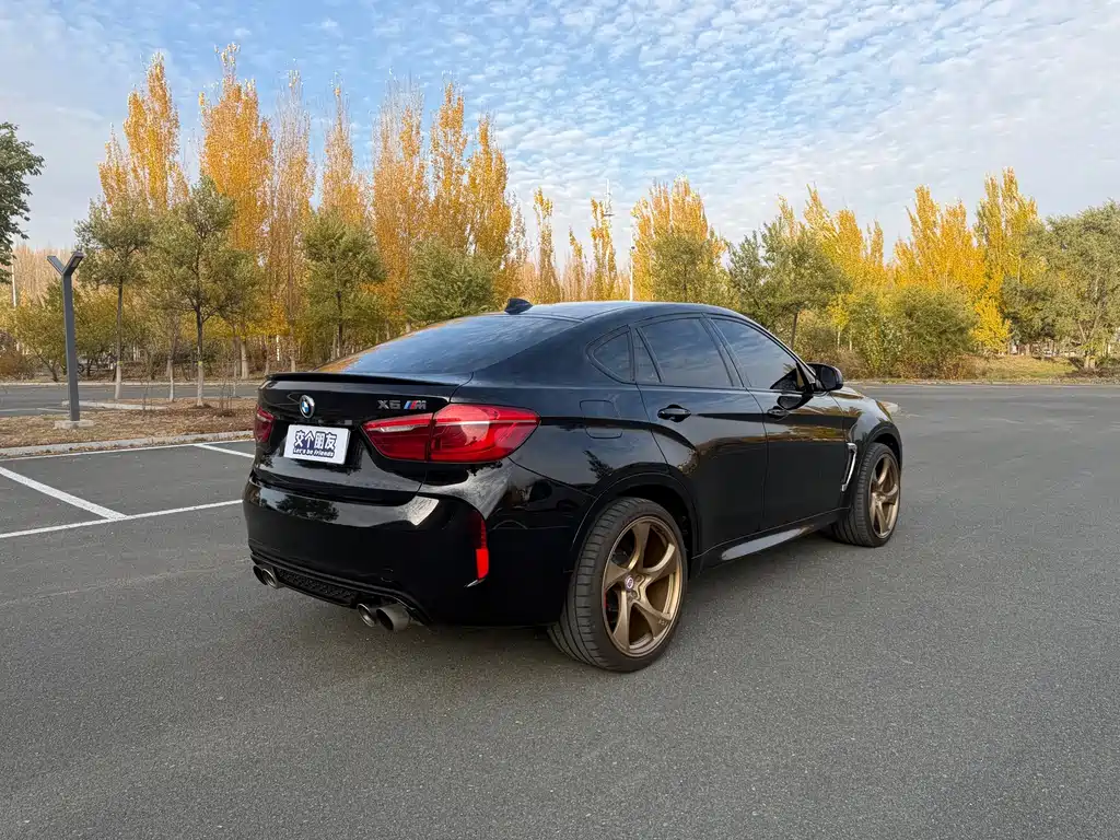 BMW X6 M — миниатюра 6