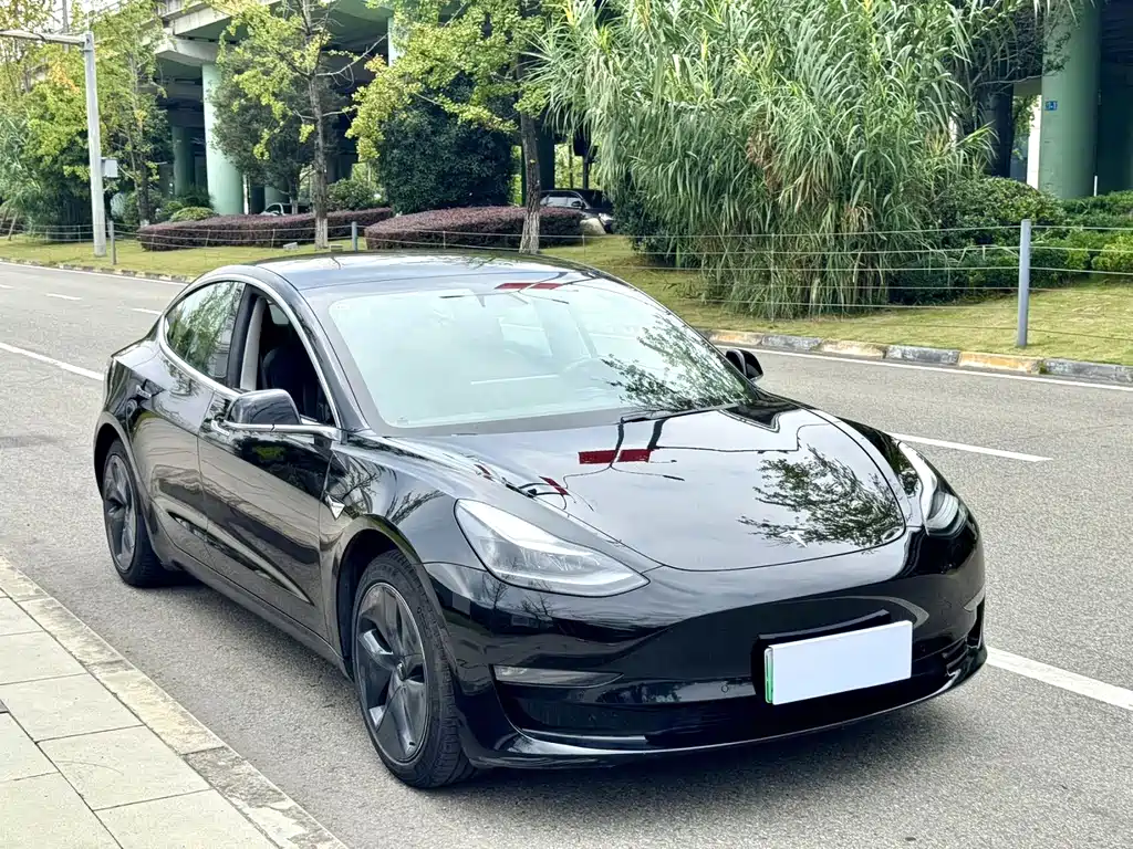 Tesla Model 3 — миниатюра 3