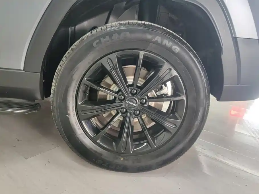 Haval Menglong New Energy — миниатюра 6