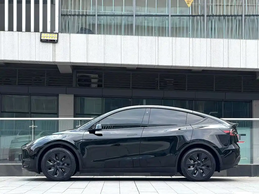 Tesla Model Y — миниатюра 3