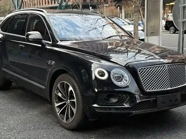 bentley tim-yue