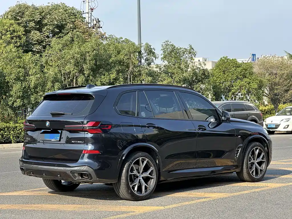 BMW X5 — миниатюра 9
