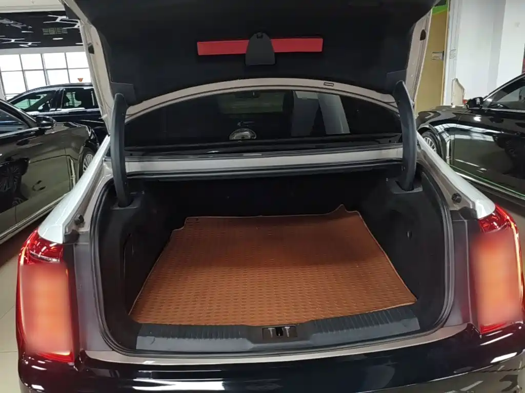 Hongqi Hongqi H9 — миниатюра 19