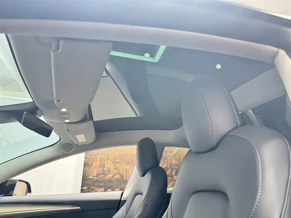Tesla Model 3 — миниатюра 13