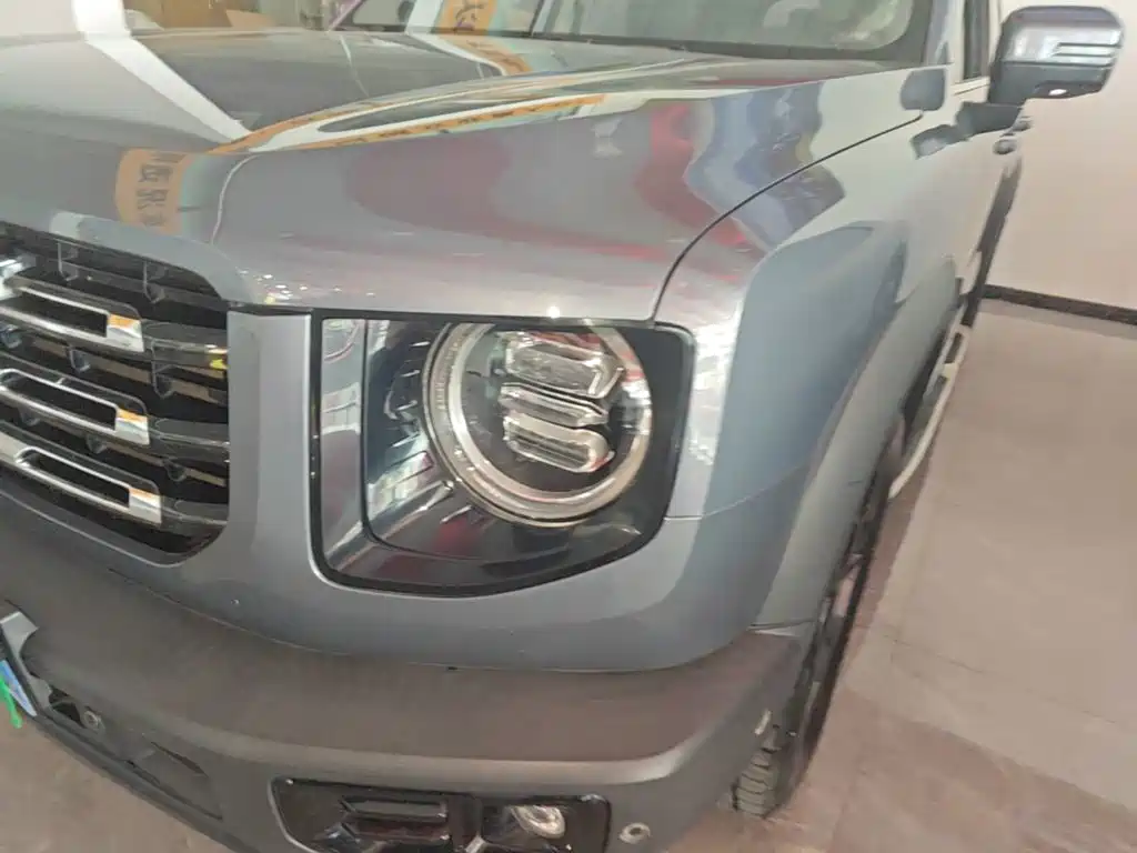 Haval Big Dog — миниатюра 24