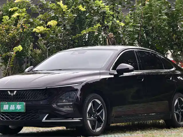 WULING AUTOMOBILE WULING STARLIGHT 2024