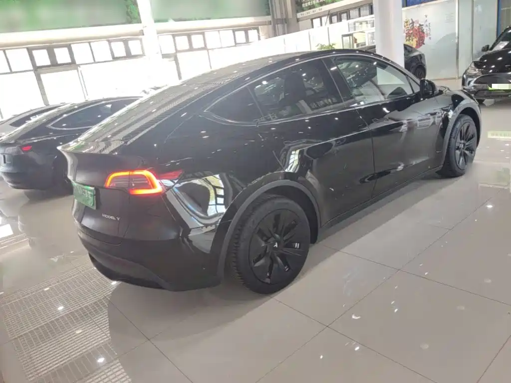 Tesla Model Y — миниатюра 7