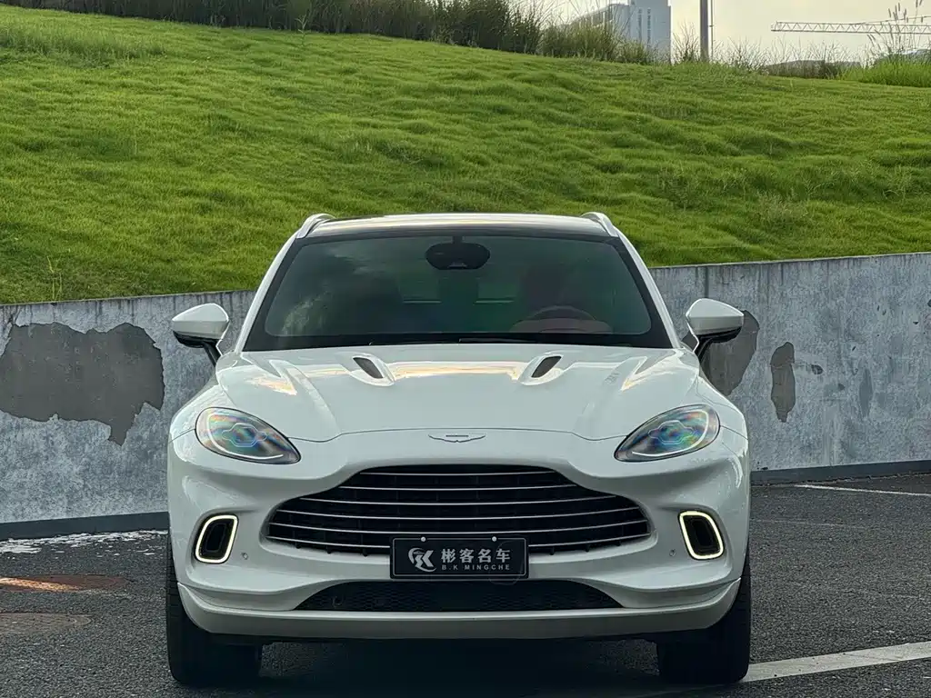 Aston Martin DBX — миниатюра 2