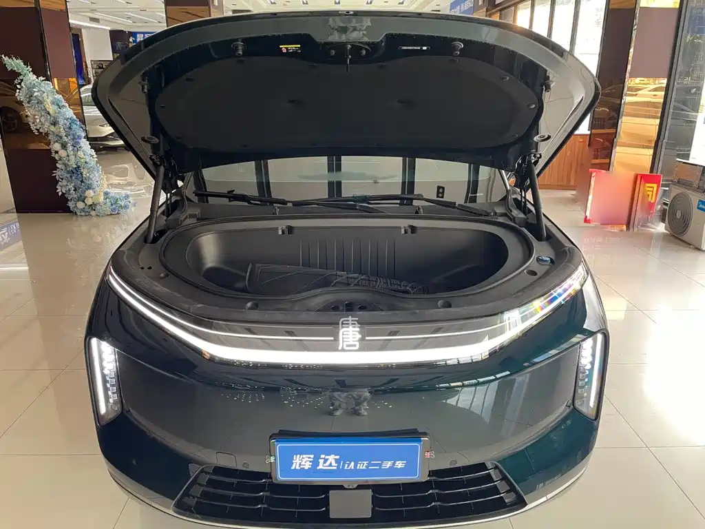BYD Datang — миниатюра 23