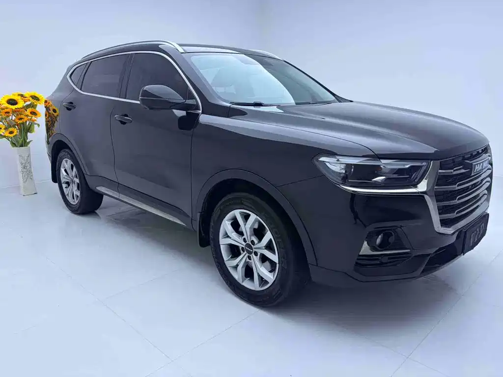Haval H6 — миниатюра 3