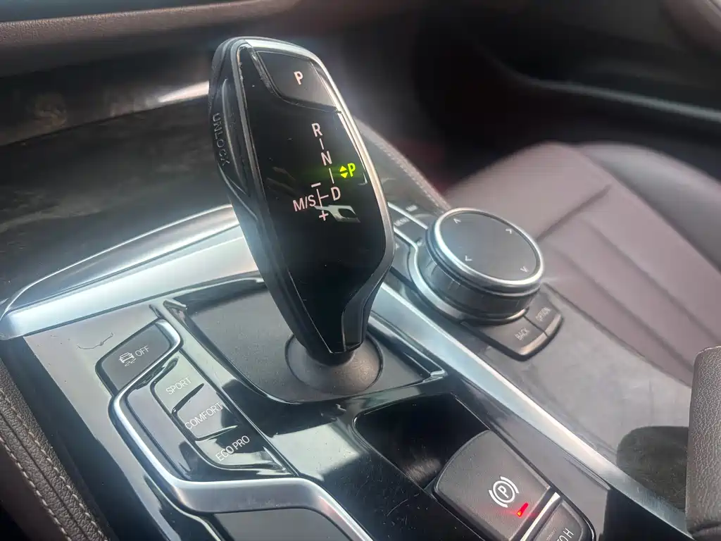 BMW 5 Series 5 2020 525Li M Sport