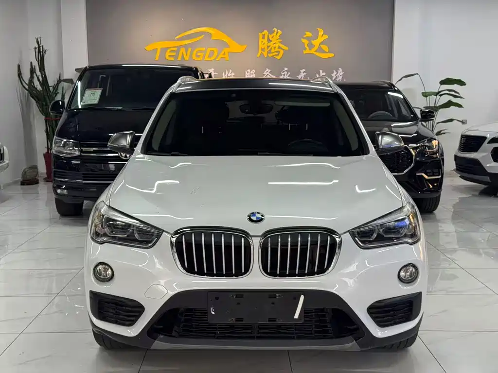 BMW X1 — миниатюра 2