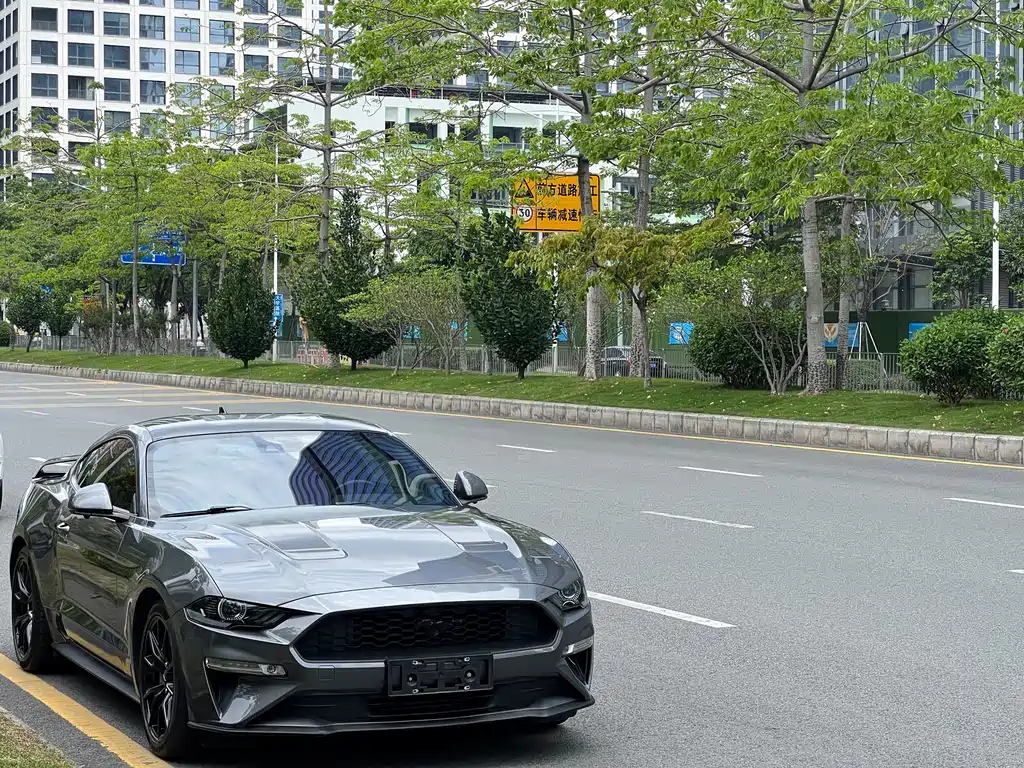 Ford Mustang — миниатюра 3