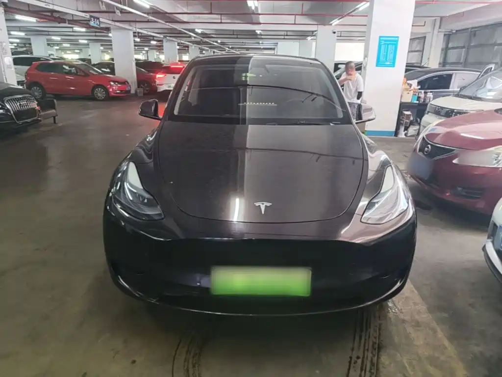 Tesla Model Y — миниатюра 3