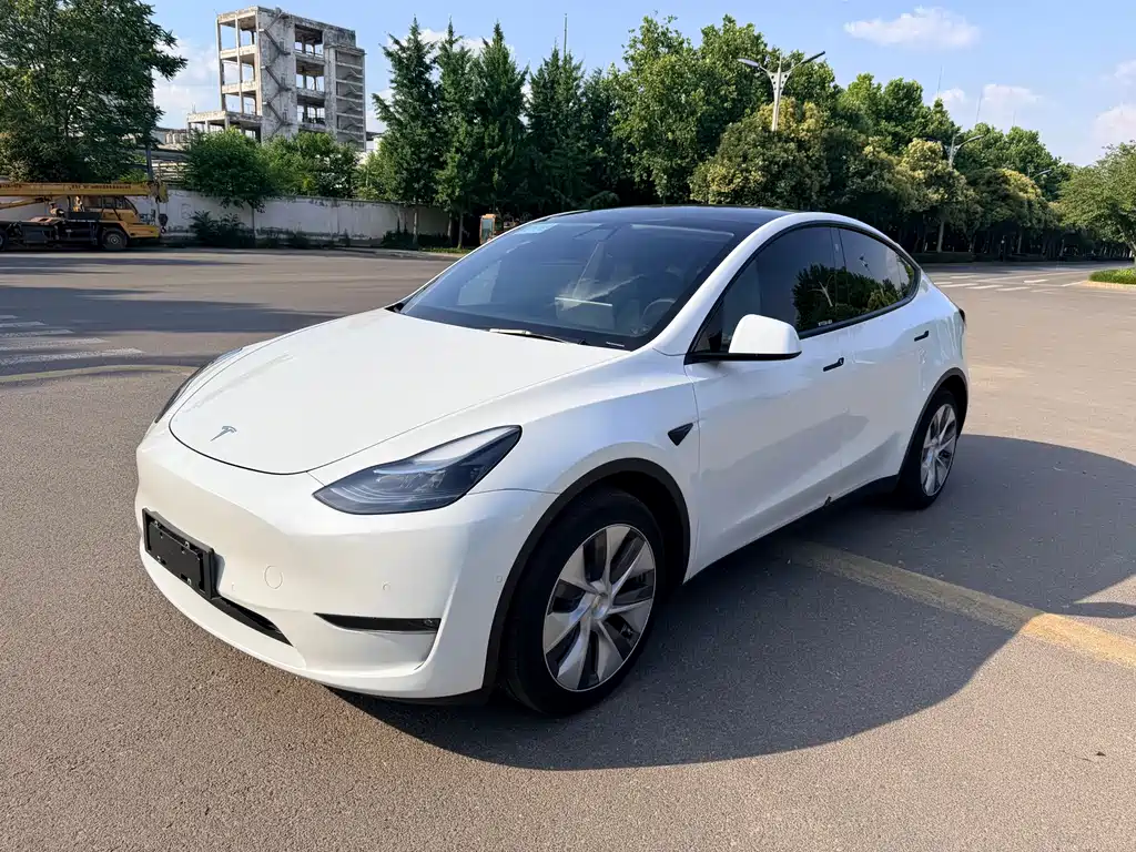 Tesla Model Y 2021 Standard Range RWD Edition
