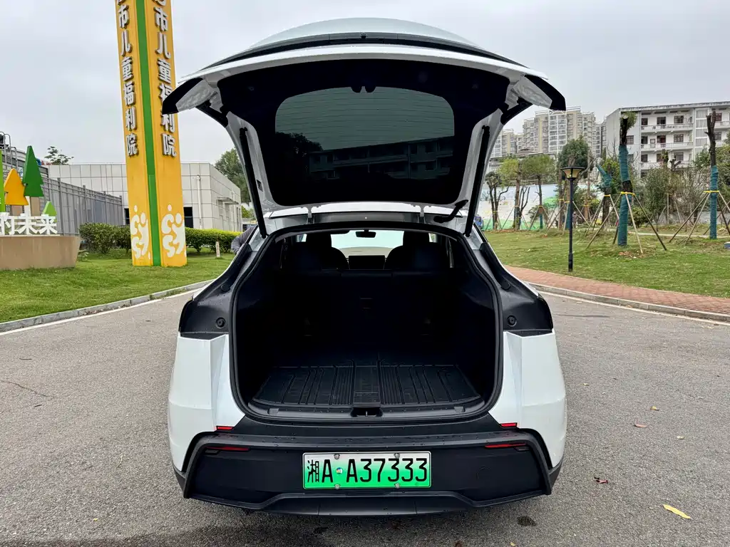Tesla Model Y — миниатюра 20