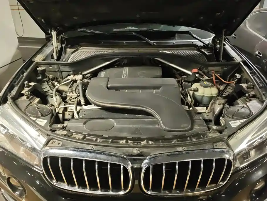 BMW X5 (Import) — миниатюра 10