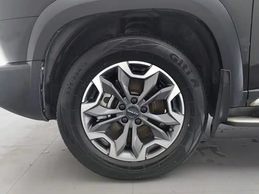 Haval Big Dog — миниатюра 17