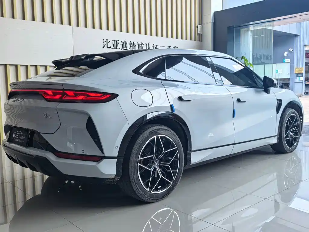 BYD L EV — миниатюра 12