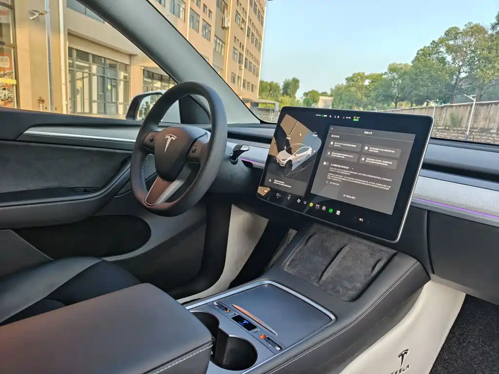 Tesla Model Y — миниатюра 8