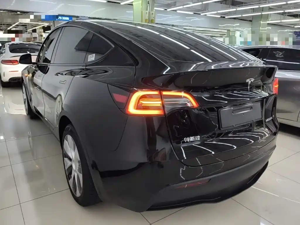 Tesla Model Y — миниатюра 5