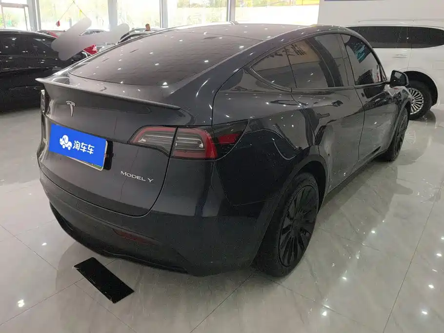 Tesla Model Y — миниатюра 3