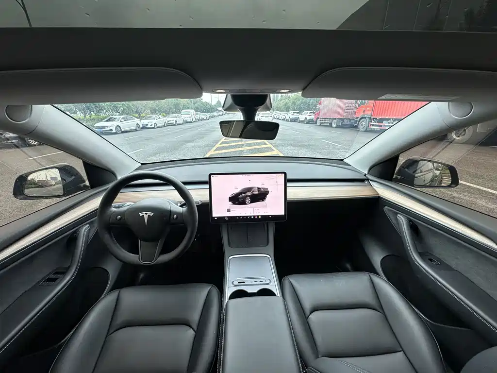 Tesla Model Y — миниатюра 5
