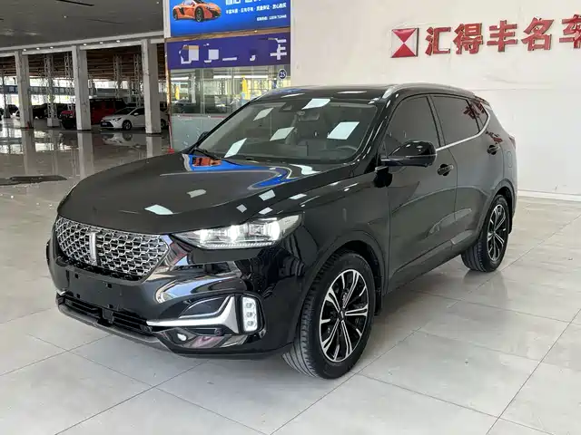 2020 Wey VV6