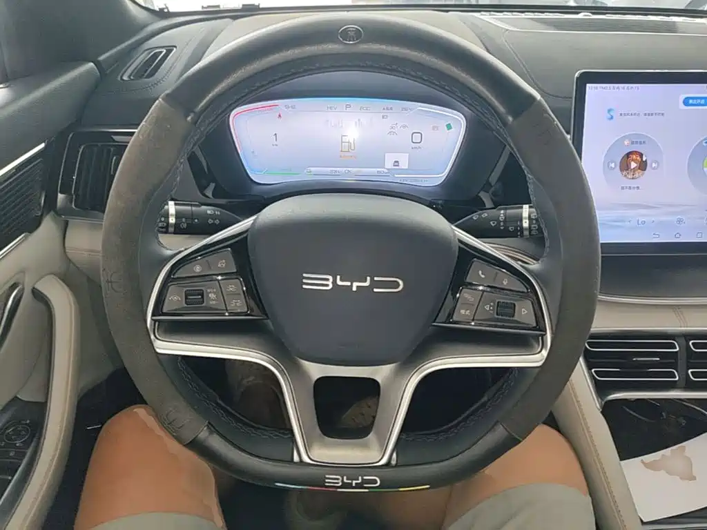 BYD PLUS New Energy — миниатюра 10