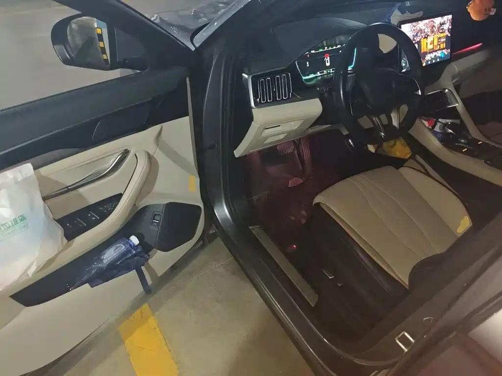 BYD PLUS New Energy — миниатюра 17