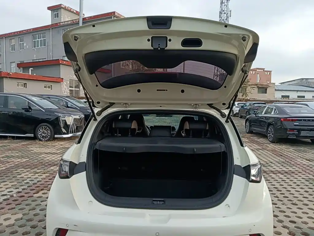 BYD Dolphin — миниатюра 19