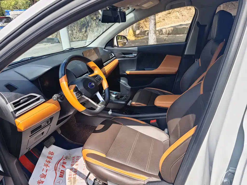 BYD e2 — миниатюра 11