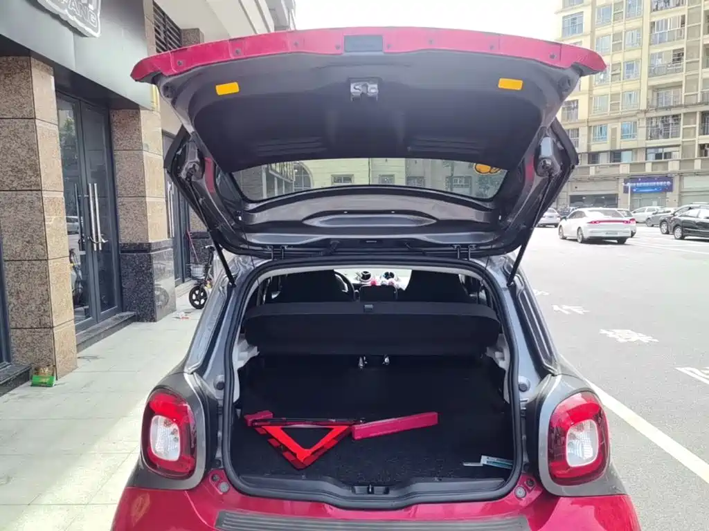 smart Smart Forfour — миниатюра 19