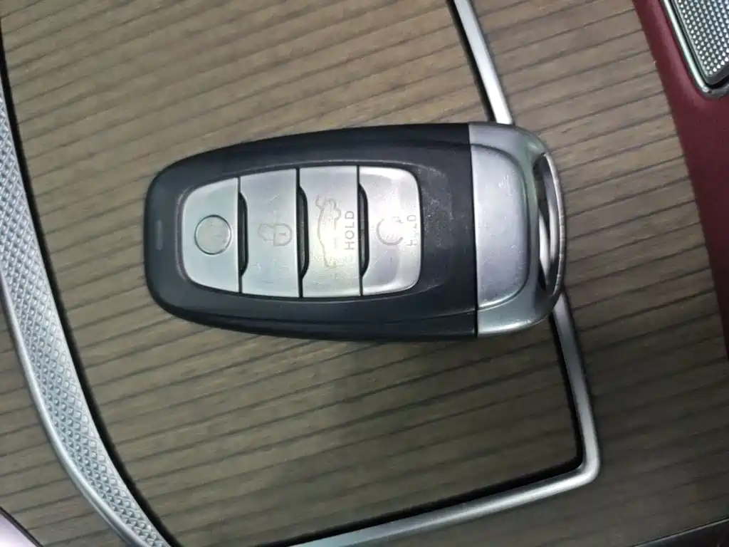 Hongqi Hongqi E-HS9 — миниатюра 9