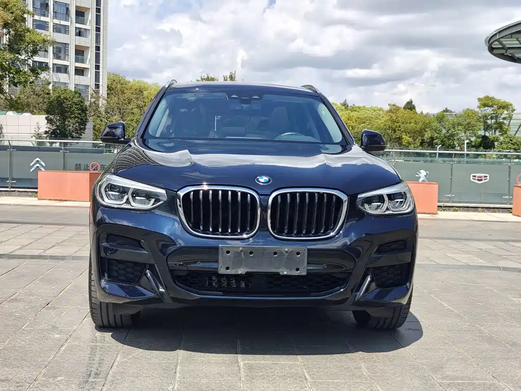 BMW X3 — миниатюра 2