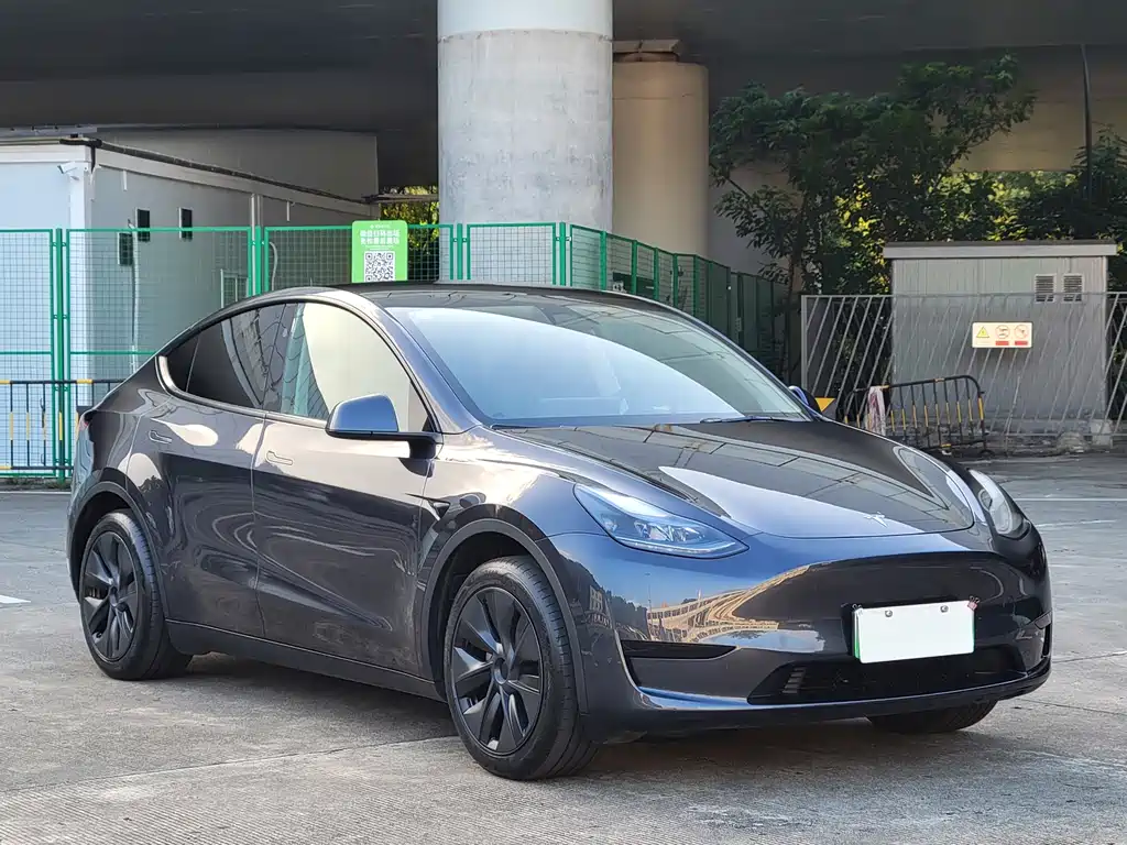 Tesla Model Y — миниатюра 3