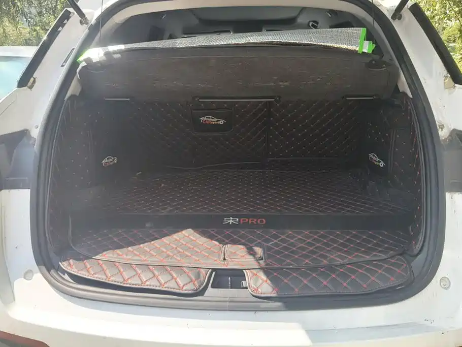 BYD Pro — миниатюра 4