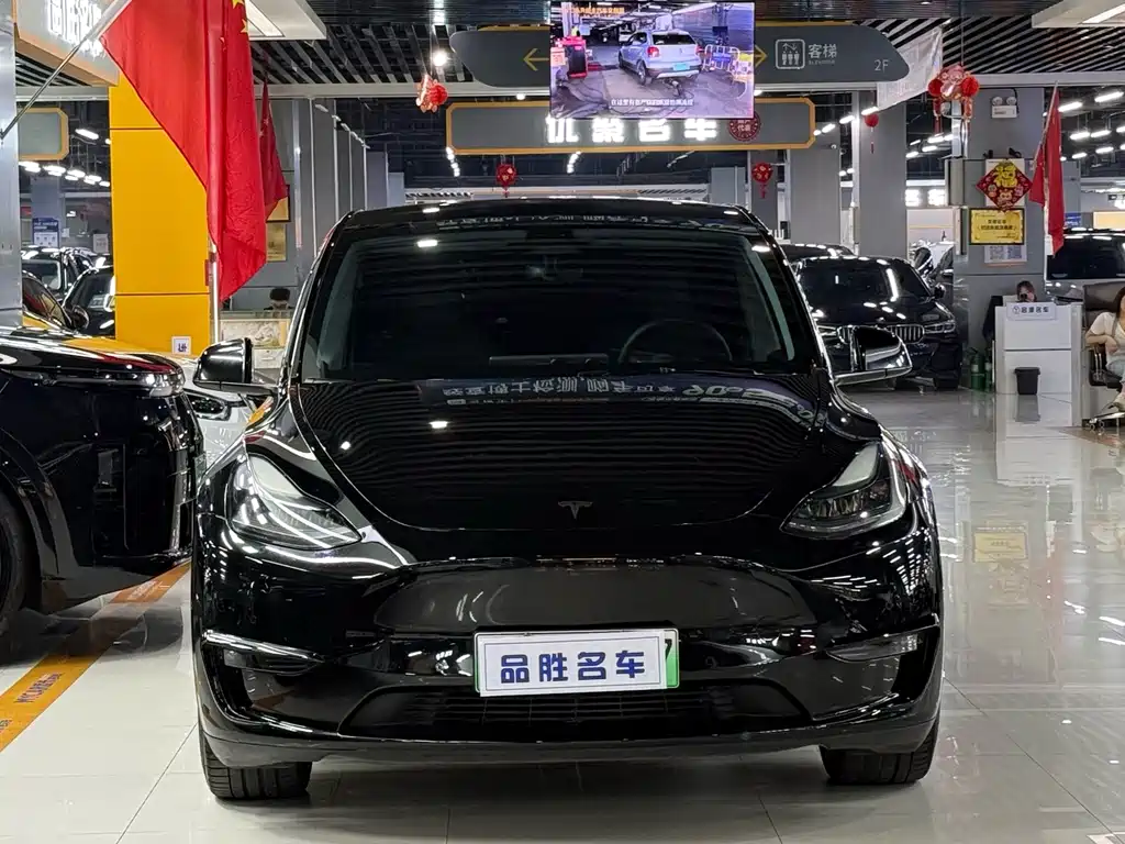 Tesla Model Y — миниатюра 2