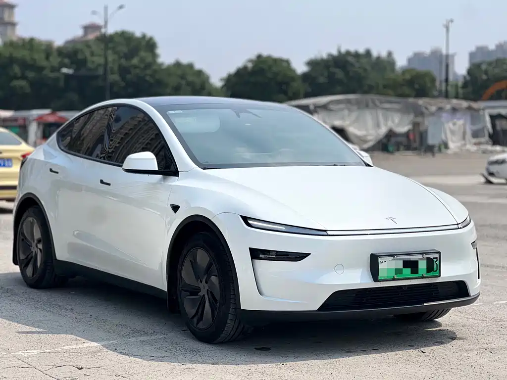 Tesla Model Y — миниатюра 3