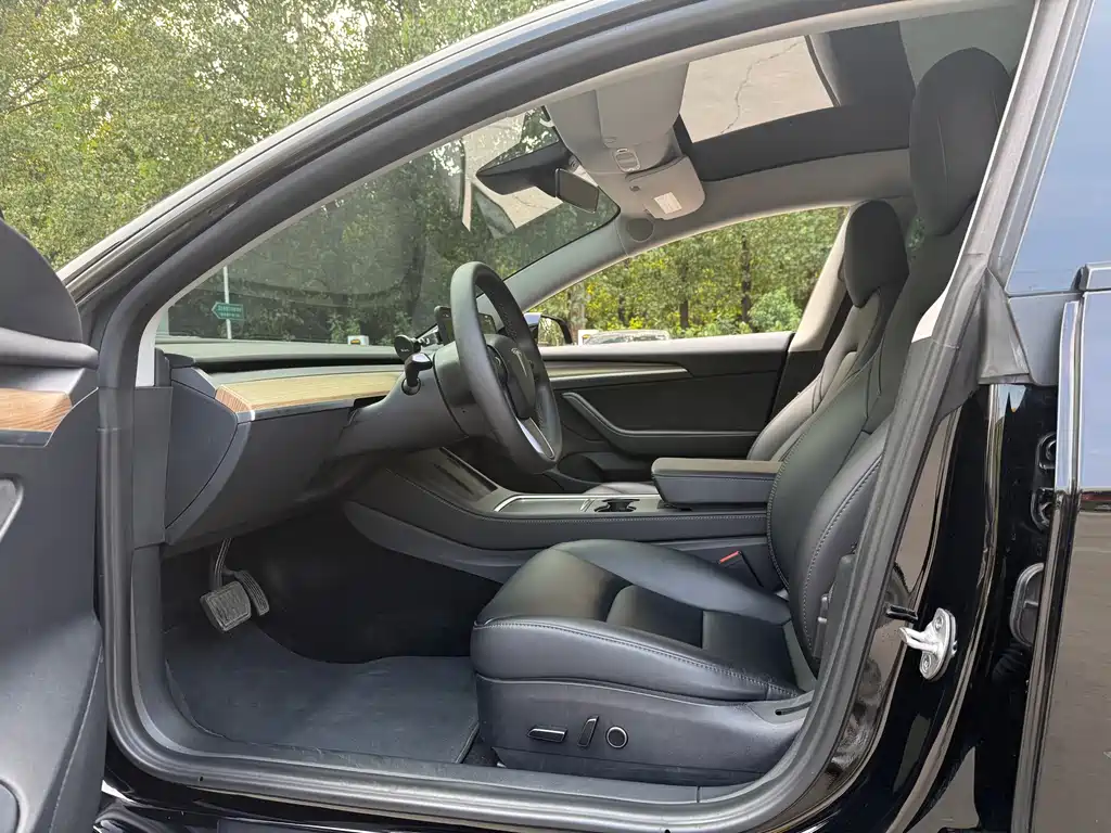 Tesla Model 3 — миниатюра 3