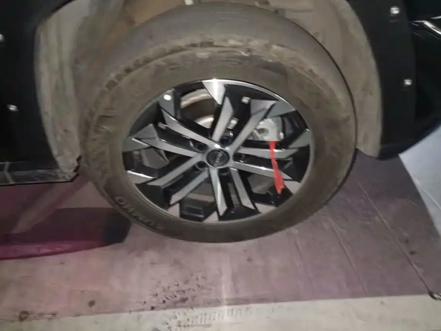 Haval Big Dog PLUS — миниатюра 6