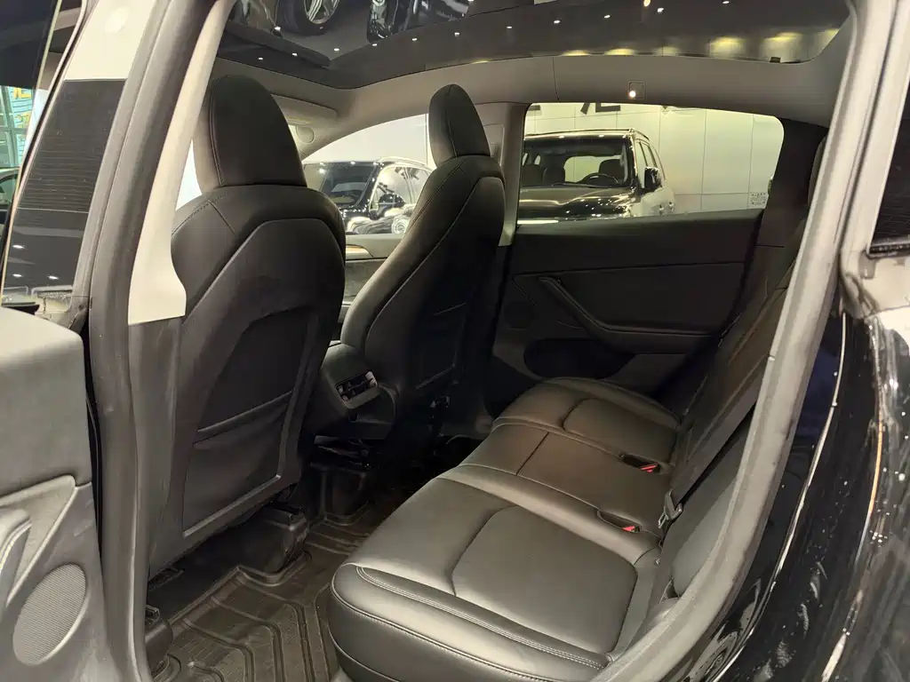 Tesla Model Y — миниатюра 10
