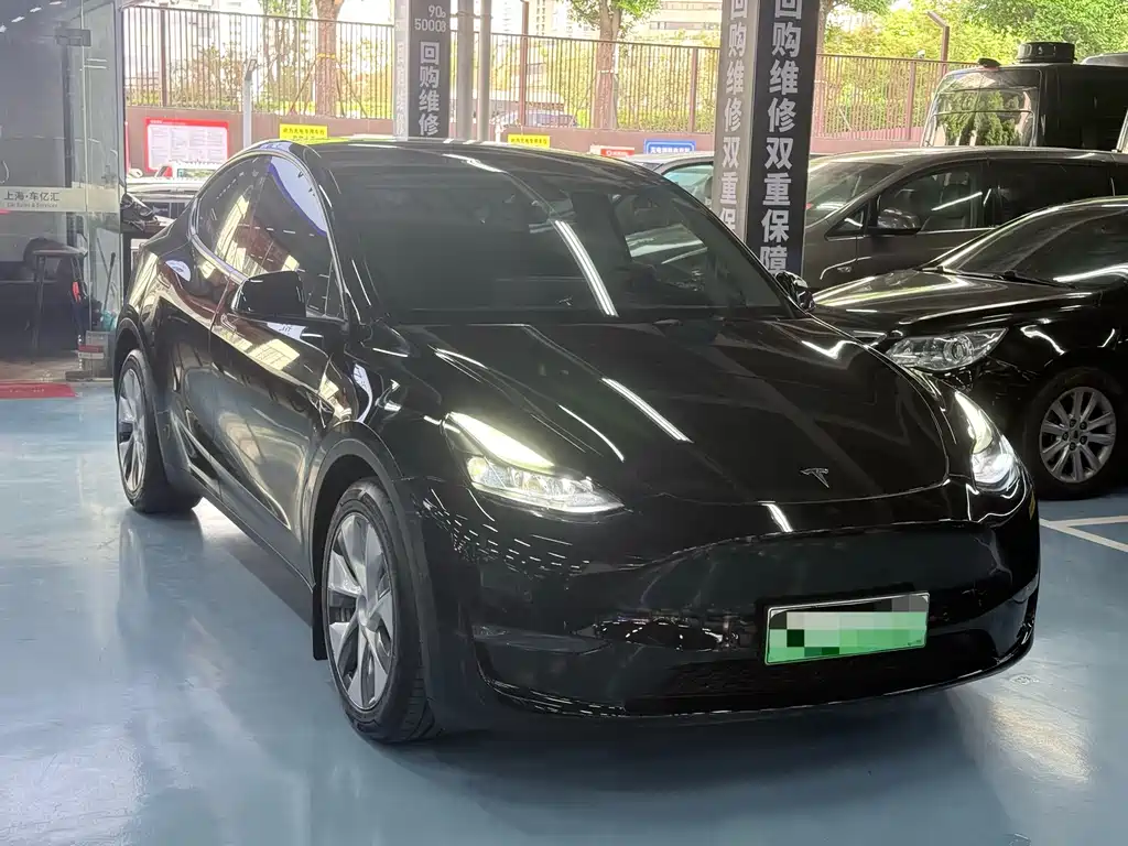 Tesla Model Y — миниатюра 3