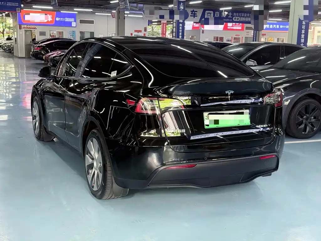 Tesla Model Y — миниатюра 5