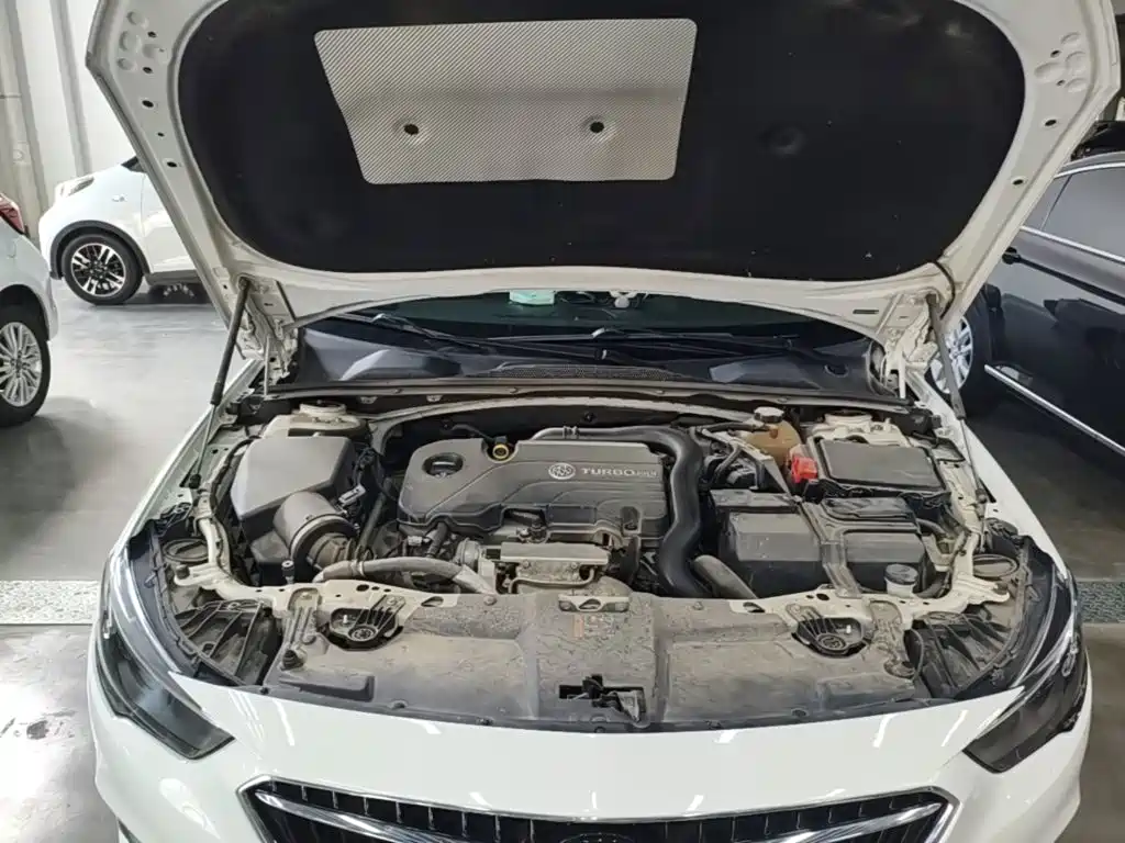 Buick Regal — миниатюра 20