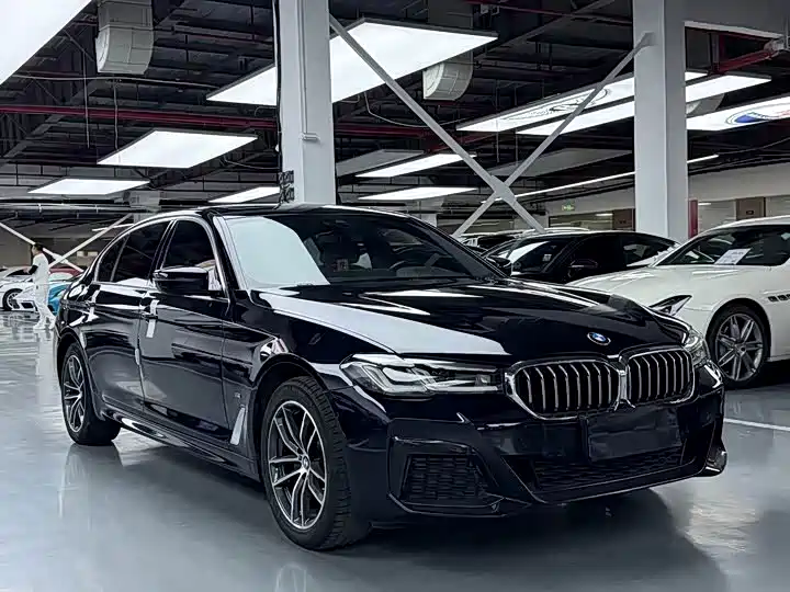 BMW 5 Series — миниатюра 3