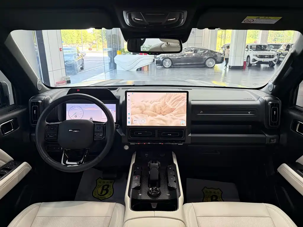 Haval Menglong New Energy Hi4 145 Cross Edition, фото 10